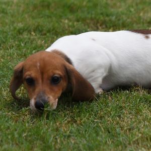 Main image of Stormy